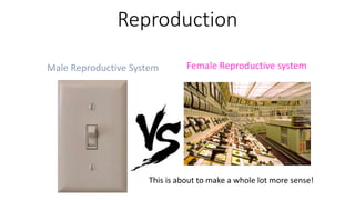 Reproduction
This is about to make a whole lot more sense!
Male Reproductive System Female Reproductive system
 