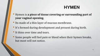 FEMALE EXTERNAL GENITALIA group 4.pptx