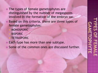The types of female gametophytes are distinguished by the number of megaspores involved in the formation of the embryo sac.Based on this criteria, there are three types of female gametophytes:MONOSPORICBISPORICTETRASPORICEach type has more than one subtype.Some of the common ones are discussed further.types of female Gametophyte12/9/200815The Female Gametophyte
