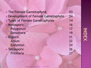 The Female Gametophyte			03Development of Female Gametophyte	04Types of Female Gametophytes		14Monosporic					16Polygonum					17Oenothera					19Bisporic						21Allium						22Endymion					24Tetrasporic					26Fritillaria					27INDEX12/9/20082The Female Gametophyte