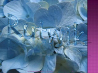 12/9/2008The Female Gametophyte29Rutwik