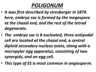 POLIGONUM
• It was first described by stresberger in 1879.
here, embryo sac is formed by the megaspore
at the chazal end, and the rest of the tetrad
degenerats.
• The embryo sac is 8 nucleated, three antipodal
cell are located at the chazal end, a central
diploid secondary nucleus exists, along with a
micropylar egg apparatus, consisting of two
synergids, and an egg cell.
• This type of ES is most common in angiosperm.
 