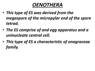 OENOTHERA
• This type of ES was derived from the
megaspore of the micropylar end of the spore
tetrad.
• The ES comprise of and egg apparatus and a
uninucleate central cell.
• This type of ES a characteristic of onagraceae
family.
 