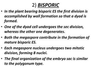 2) BISPORIC
• In the plant bearing bisporic ES the first division is
accomplished by wall formation so that a dyad is
formed.
• One of the dyad cell undergoes the sec division,
whereas the other one degenerates.
• Both the megaspore contribute in the formation of
mature bisporic ES.
• Each megaspore nucleus undergoes two mitotic
division, forming 8 nuclei.
• The final organization of the embryo sac is similar
to the polygonum type.
 