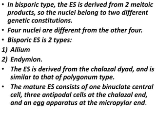 • In bisporic type, the ES is derived from 2 meitoic
products, so the nuclei belong to two different
genetic constitutions.
• Four nuclei are different from the other four.
• Bisporic ES is 2 types:
1) Allium
2) Endymion.
• The ES is derived from the chalazal dyad, and is
similar to that of polygonum type.
• The mature ES consists of one binuclate central
cell, three antipodal cells at the chalazal end,
and an egg apparatus at the micropylar end.
 