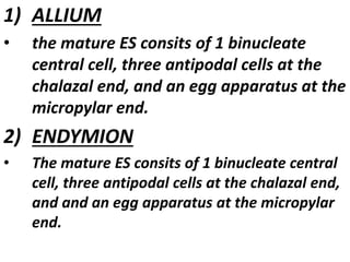 1) ALLIUM
• the mature ES consits of 1 binucleate
central cell, three antipodal cells at the
chalazal end, and an egg apparatus at the
micropylar end.
2) ENDYMION
• The mature ES consits of 1 binucleate central
cell, three antipodal cells at the chalazal end,
and and an egg apparatus at the micropylar
end.
 