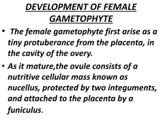 DEVELOPMENT OF FEMALE
GAMETOPHYTE
• The female gametophyte first arise as a
tiny protuberance from the placenta, in
the cavity of the overy.
• As it mature,the ovule consists of a
nutritive cellular mass known as
nucellus, protected by two integuments,
and attached to the placenta by a
funiculus.
 