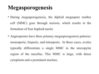 Megasporogenesis
• During megasporogenesis, the diploid megaspore mother
cell (MMC) goes through meiosis, which results in the
formation of four haploid nuclei.
• Angiosperms have three primary megasporogenesis patterns:
monosporic, bisporic, and tetrasporic. In these cases, ovules
typically differentiate a single MMC in the micropylar
region of the nucellus. This MMC is large, with dense
cytoplasm and a prominent nucleus.
 