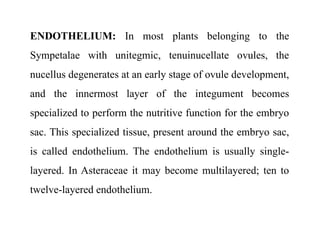 ENDOTHELIUM: In most plants belonging to the
Sympetalae with unitegmic, tenuinucellate ovules, the
nucellus degenerates at an early stage of ovule development,
and the innermost layer of the integument becomes
specialized to perform the nutritive function for the embryo
sac. This specialized tissue, present around the embryo sac,
is called endothelium. The endothelium is usually single-
layered. In Asteraceae it may become multilayered; ten to
twelve-layered endothelium.
 