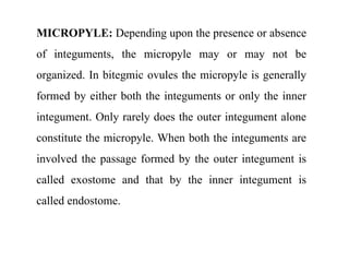 MICROPYLE: Depending upon the presence or absence
of integuments, the micropyle may or may not be
organized. In bitegmic ovules the micropyle is generally
formed by either both the integuments or only the inner
integument. Only rarely does the outer integument alone
constitute the micropyle. When both the integuments are
involved the passage formed by the outer integument is
called exostome and that by the inner integument is
called endostome.
 