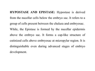 HYPOSTASE AND EPISTASE: Hypostase is derived
from the nucellar cells below the embryo sac. It refers to a
group of cells present between the chalaza and embryosac.
While, the Epistase is formed by the nucellar epidermis
above the embryo sac. It forms a cap-like structure of
cutinized cells above embryosac at micropylar region. It is
distinguishable even during advanced stages of embryo
development.
 