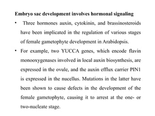 Embryo sac development involves hormonal signaling
• Three hormones auxin, cytokinin, and brassinosteroids
have been implicated in the regulation of various stages
of female gametophyte development in Arabidopsis.
• For example, two YUCCA genes, which encode flavin
monooxygenases involved in local auxin biosynthesis, are
expressed in the ovule, and the auxin efflux carrier PIN1
is expressed in the nucellus. Mutations in the latter have
been shown to cause defects in the development of the
female gametophyte, causing it to arrest at the one- or
two-nucleate stage.
 
