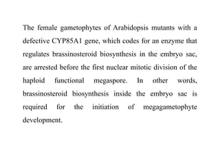 The female gametophytes of Arabidopsis mutants with a
defective CYP85A1 gene, which codes for an enzyme that
regulates brassinosteroid biosynthesis in the embryo sac,
are arrested before the first nuclear mitotic division of the
haploid functional megaspore. In other words,
brassinosteroid biosynthesis inside the embryo sac is
required for the initiation of megagametophyte
development.
 
