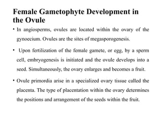 Female Gametophyte Development in
the Ovule
• In angiosperms, ovules are located within the ovary of the
gynoecium. Ovules are the sites of megasporogenesis.
• Upon fertilization of the female gamete, or egg, by a sperm
cell, embryogenesis is initiated and the ovule develops into a
seed. Simultaneously, the ovary enlarges and becomes a fruit.
• Ovule primordia arise in a specialized ovary tissue called the
placenta. The type of placentation within the ovary determines
the positions and arrangement of the seeds within the fruit.
 