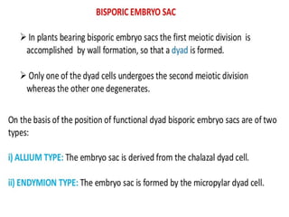 Female Gametophyte development in plants.pptx