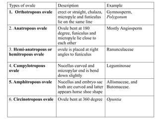 Types of ovule Description Example
1. Orthotropous ovule erect or straight, chalaza,
micropyle and funiculus
lie on the same line
Gymnosperm,
Polygonum
2. Anatropous ovule Ovule bent at 180
degree, funiculus and
micropyle lie close to
each other
Mostly Angiosperm
3. Hemi-anatropous or
hemitropous ovule
ovule is placed at right
angles to funiculus
Ranunculaceae
4. Campylotropous
ovule
Nucellus curved and
micropylar end is bend
down slightly
Leguminosae
5. Amphitropous ovule Nucellus and embryo sac
both are curved and latter
appears horse shoe shape
Allismaceae, and
Butomaceae.
6. Circinotropous ovule Ovule bent at 360 degree Opuntia
 