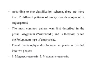 • According to one classification scheme, there are more
than 15 different patterns of embryo sac development in
angiosperms.
• The most common pattern was first described in the
genus Polygonum (“knotweed”) and is therefore called
the Polygonum type of embryo sac.
• Female gametophyte development in plants is divided
into two phases:
• 1. Megasporogenesis 2. Megagametogenesis.
 