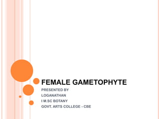 FEMALE GAMETOPHYTE
PRESENTED BY
LOGANATHAN
I M.SC BOTANY
GOVT. ARTS COLLEGE - CBE
 