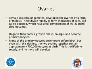Female genital tract | PPTX