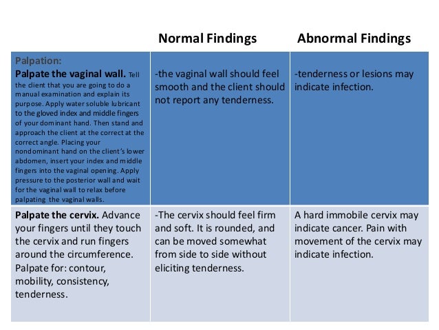 Female genitourinary