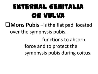 External Genitalia
or Vulva
Mons Pubis –is the flat pad located
over the symphysis pubis.
-functions to absorb
force and to protect the
symphysis pubis during coitus.
 