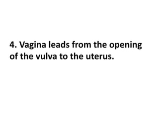 4. Vagina leads from the opening
of the vulva to the uterus.
 