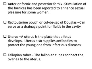  Anterior fornix and posterior fornix -Stimulation of
the fornices has been reported to enhance sexual
pleasure for some women.
 Rectouterine pouch or cul-de-sac of Douglas –Can
serve as a drainage point for fluids in the cavity.
 Uterus –A uterus is the place that a fetus
develops. Uterus also supplies antibodies to
protect the young one from infectious diseases,
 Fallopian tubes - The fallopian tubes connect the
ovaries to the uterus.
 