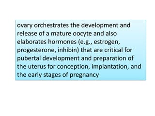 ovary orchestrates the development and
release of a mature oocyte and also
elaborates hormones (e.g., estrogen,
progesterone, inhibin) that are critical for
pubertal development and preparation of
the uterus for conception, implantation, and
the early stages of pregnancy
 