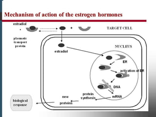 Female hormones and contraception | PPTX