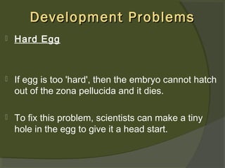 Development Problems


Hard Egg



If egg is too 'hard', then the embryo cannot hatch
out of the zona pellucida and it dies.



To fix this problem, scientists can make a tiny
hole in the egg to give it a head start.

 