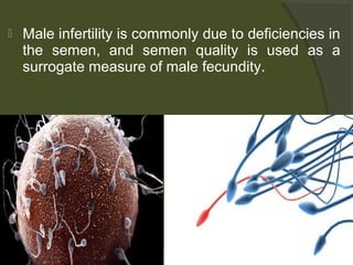 

Male infertility is commonly due to deficiencies in
the semen, and semen quality is used as a
surrogate measure of male fecundity.

 