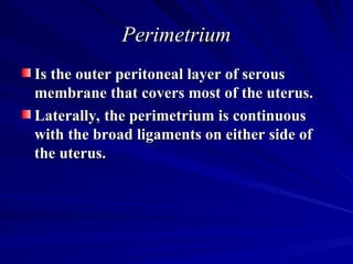 Female internal genitalia 2.ppt anatomy and physiology | PPT