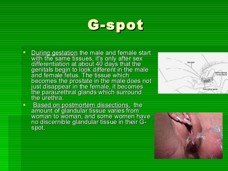 Male G Spot - Femalejaculation