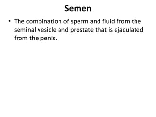 FEMALE & MALE REPRODUCTIVE SYSTEM 2.pptx