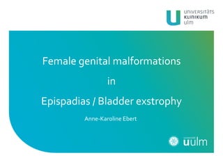 Female genital malformations
in
Epispadias / Bladder exstrophy
Anne-Karoline Ebert
 