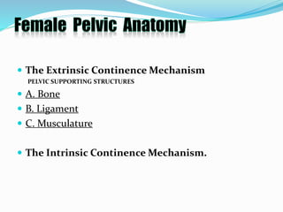  The Extrinsic Continence Mechanism
PELVIC SUPPORTING STRUCTURES
 A. Bone
 B. Ligament
 C. Musculature
 The Intrinsic Continence Mechanism.
 