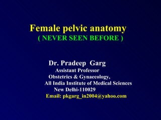 Female pelvic anatomy  ( NEVER SEEN BEFORE ) Dr. Pradeep  Garg   Assistant Professor   Obstetrics & Gynaecology, All India Institute of Medical Sciences   New Delhi-110029 Email: pkgarg_in2004@yahoo.com 