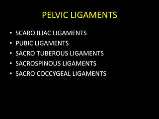 PELVIC LIGAMENTS
• SCARO ILIAC LIGAMENTS
• PUBIC LIGAMENTS
• SACRO TUBEROUS LIGAMENTS
• SACROSPINOUS LIGAMENTS
• SACRO COCCYGEAL LIGAMENTS
 
