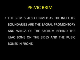 PELVIC BRIM
• THE BRIM IS ALSO TERMED AS THE INLET. ITS
BOUNDARIES ARE THE SACRAL PROMONTORY
AND WINGS OF THE SACRUM BEHIND THE
ILIAC BONE ON THE SIDES AND THE PUBIC
BONES IN FRONT.
 