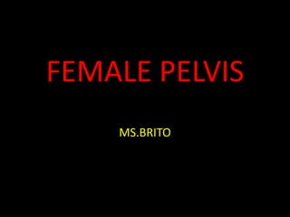 FEMALE PELVIS
MS.BRITO
 