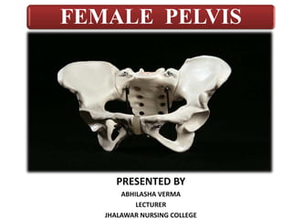 FEMALE PELVIS
PRESENTED BY
ABHILASHA VERMA
LECTURER
JHALAWAR NURSING COLLEGE
 