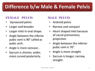 Male Female Pelvis: Key Differences Pros Cons 51% OFF Male Female Pelvis: Key Differences Pros Cons 51% OFF