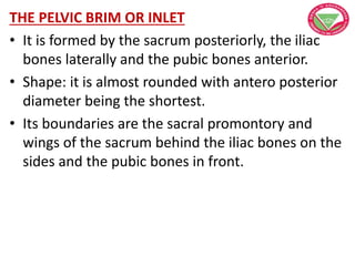 THE PELVIC BRIM OR INLET
• It is formed by the sacrum posteriorly, the iliac
bones laterally and the pubic bones anterior.
• Shape: it is almost rounded with antero posterior
diameter being the shortest.
• Its boundaries are the sacral promontory and
wings of the sacrum behind the iliac bones on the
sides and the pubic bones in front.
 