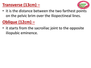 Transverse (13cm) –
• it is the distance between the two farthest points
on the pelvic brim over the Iliopectineal lines.
Oblique (12cm) –
• it starts from the sacroiliac joint to the opposite
iliopubic eminence.
 