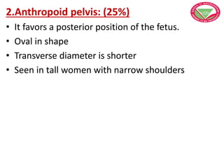 2.Anthropoid pelvis: (25%)
• It favors a posterior position of the fetus.
• Oval in shape
• Transverse diameter is shorter
• Seen in tall women with narrow shoulders
 