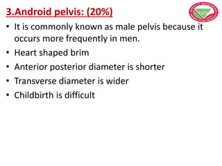3.Android pelvis: (20%)
• It is commonly known as male pelvis because it
occurs more frequently in men.
• Heart shaped brim
• Anterior posterior diameter is shorter
• Transverse diameter is wider
• Childbirth is difficult
 