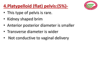 4.Platypelloid (flat) pelvis:(5%)-
• This type of pelvis is rare.
• Kidney shaped brim
• Anterior posterior diameter is smaller
• Transverse diameter is wider
• Not conductive to vaginal delivery
 