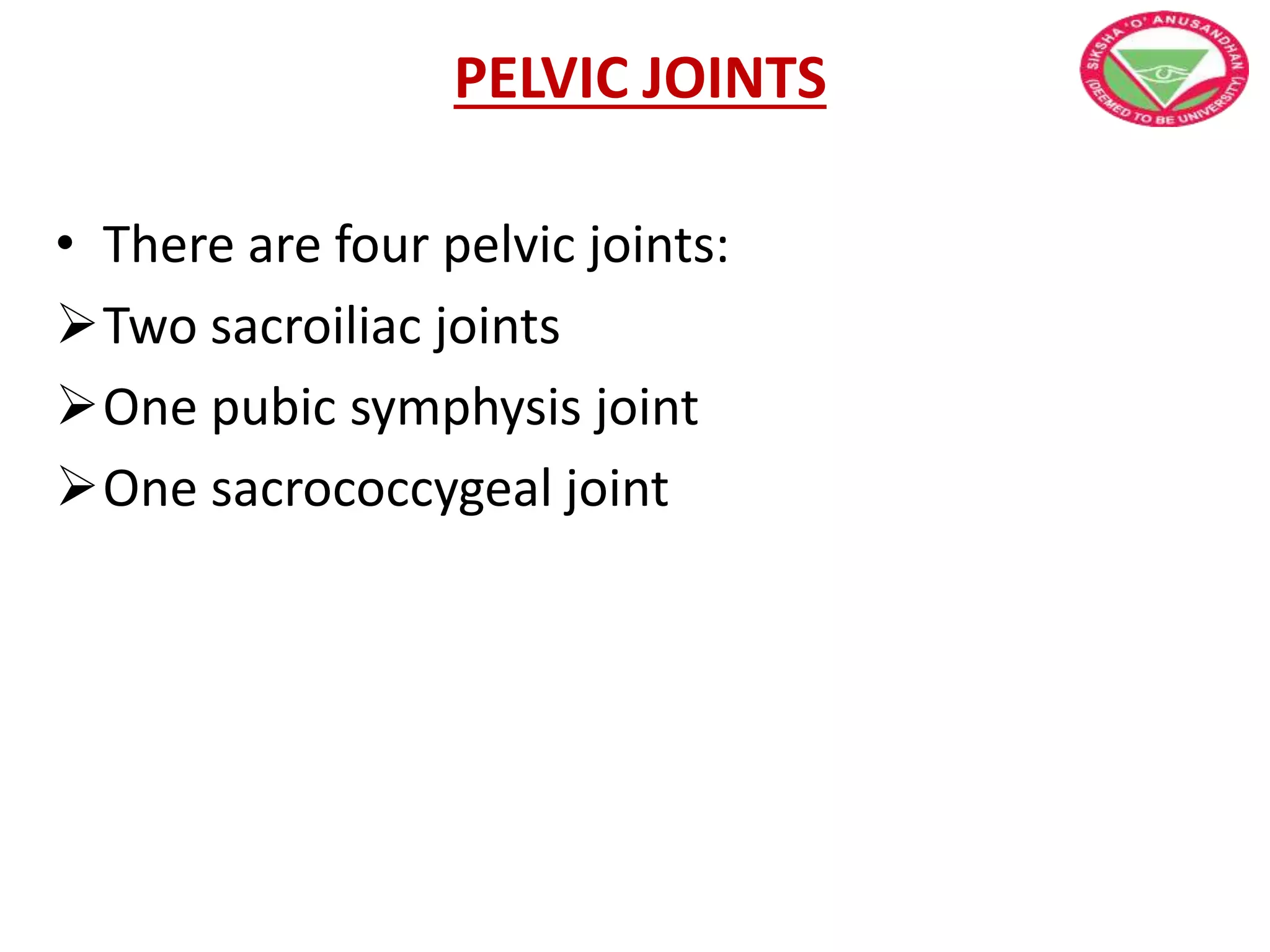 PELVIC JOINTS
• There are four pelvic joints:
Two sacroiliac joints
One pubic symphysis joint
One sacrococcygeal joint
 
