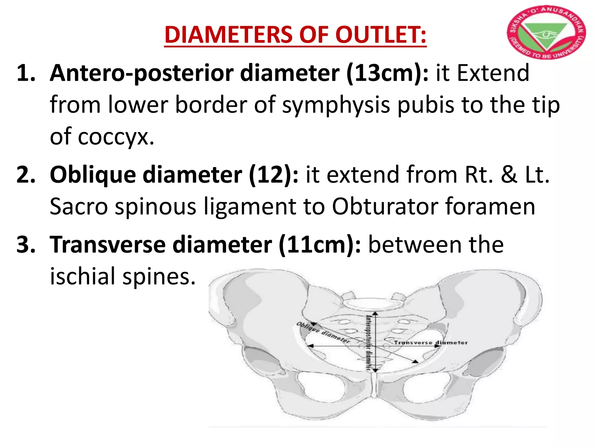 DIAMETERS OF OUTLET:
1. Antero-posterior diameter (13cm): it Extend
from lower border of symphysis pubis to the tip
of coccyx.
2. Oblique diameter (12): it extend from Rt. & Lt.
Sacro spinous ligament to Obturator foramen
3. Transverse diameter (11cm): between the
ischial spines.
 