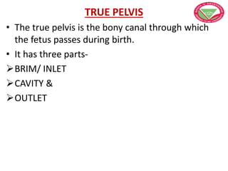 TRUE PELVIS
• The true pelvis is the bony canal through which
the fetus passes during birth.
• It has three parts-
BRIM/ INLET
CAVITY &
OUTLET
 